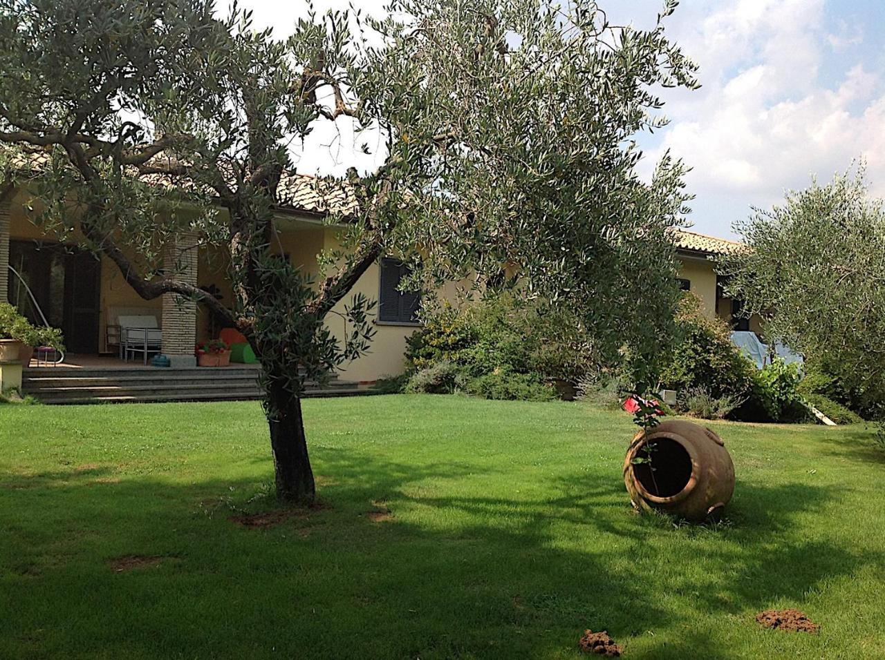 Bed And Breakfast Ellera Viterbo Exterior photo