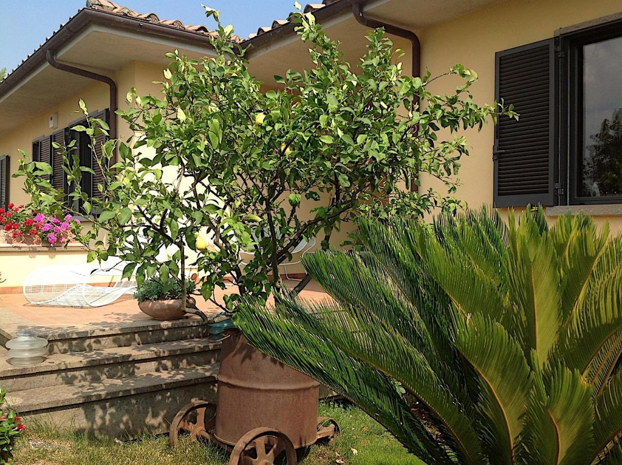 Bed And Breakfast Ellera Viterbo Exterior photo