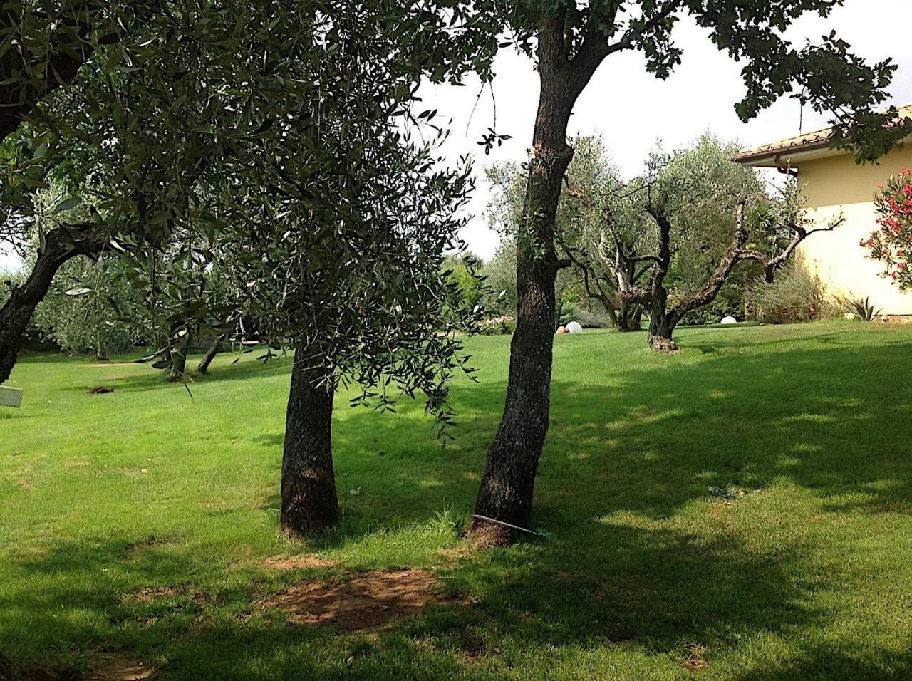 Bed And Breakfast Ellera Viterbo Exterior photo
