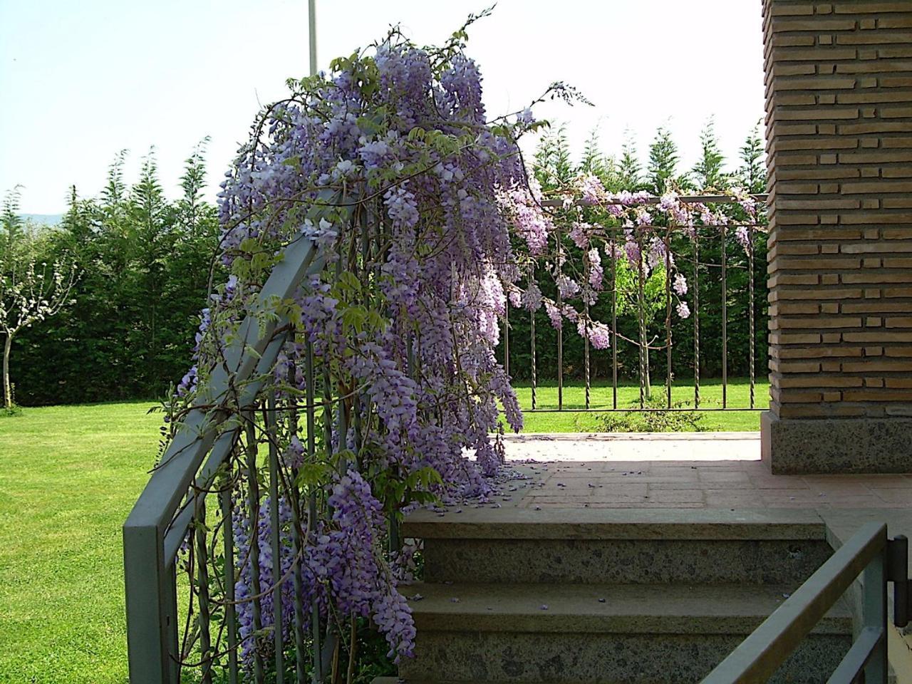 Bed And Breakfast Ellera Viterbo Exterior photo